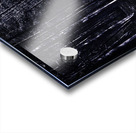 Night thicket  Acrylic print