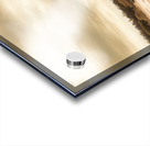 Turn Loose The Doves Acrylic print