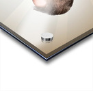 Business man drinking a quick coffee on the go Acrylic print