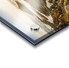 Shoreline Sunshine Acrylic print