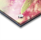 Bottle Brush flower species digital painting Acrylic print