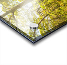 Wondersome Acrylic print