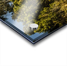 Outback country road panorama Acrylic print