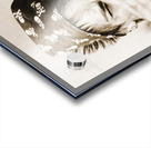 Vintage Explorer Acrylic print