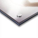 Sun Light Acrylic print