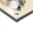 At lass  Acrylic print