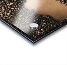 Bean to Australia Acrylic print