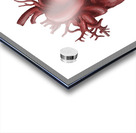 Human heart medical diagram isolated on white Acrylic print