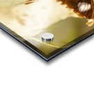 Wooded wildlife Acrylic print