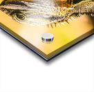 A predators portrait Acrylic print