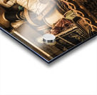 A stitch in time Acrylic print