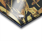 Sepia toned image of floating eucalyptus leaves Acrylic print