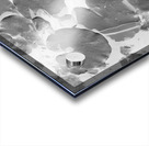 Floating abstraction Acrylic print