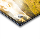 Gorgeous golden sunset field  Acrylic print