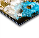 Showgirl Stagecraft Acrylic print