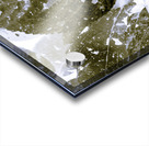 Spectral  Acrylic print