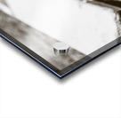 Vintage cricket Acrylic print