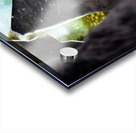 Mysterious jester found wonderland in a reflection Acrylic print