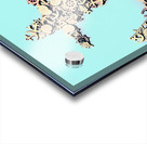 Stalwart Acrylic print