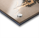 Before there was image stabilisation Acrylic print