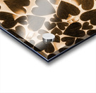 Enamored Acrylic print