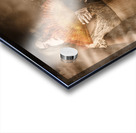 Fantasy fine art portrait. Elegant vampire woman Acrylic print