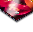 Wildlife wilderness Acrylic print