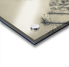 Grey winds bellow  Acrylic print