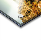 An alpine morning Acrylic print