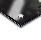 Spooky old abandoned house in dark forest Acrylic print