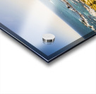 Windswept Tasmania Acrylic print