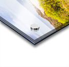 Hooroo from Australia Acrylic print