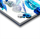 Blue buggery  Acrylic print