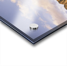 Western wilds Acrylic print