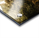 Montezuma Falls Tasmania Acrylic print