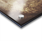 Mysterious vintage masquerade Acrylic print