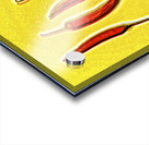 Hotlucination  Acrylic print