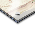 Pastel Romances Acrylic print