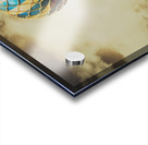 Fantasy flights Acrylic print