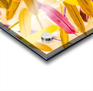 Palletry Plumes Acrylic print