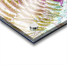 Exotic pop Acrylic print