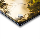 Land before time Acrylic print