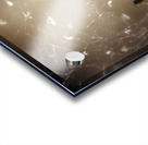 Dark portrait of a demon woman in haunted house Acrylic print