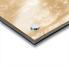 Misty woods Acrylic print