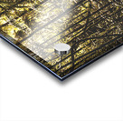 Mary Cairncross Scenic Reserve Acrylic print