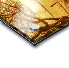 Autumn vista Acrylic print