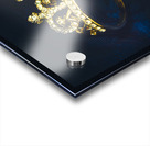 Rings of nobility Acrylic print