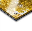 Waywoods  Acrylic print