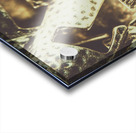 Spartan 300 Acrylic print