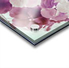 Wildflower pop  Acrylic print